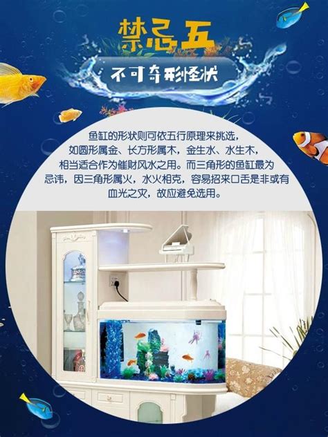 家裡養魚數量|招財魚缸擺放技巧